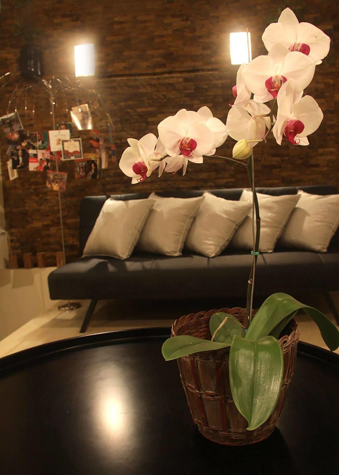 6 Suites Hotel Bogotá Esterno foto